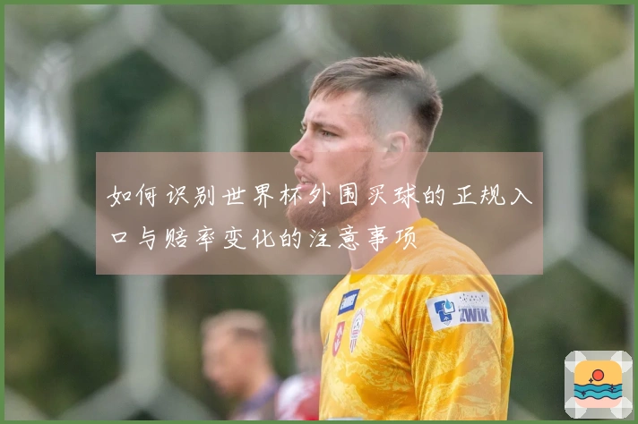 如何识别世界杯外围买球的正规入口与赔率变化的注意事项