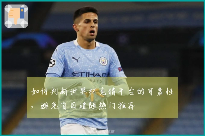 如何判断世界杯竞猜平台的可靠性，避免盲目追随热门推荐